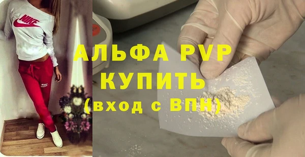 СК Вяземский