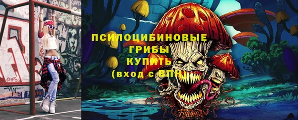 СК Вяземский