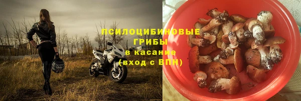 СК Вяземский